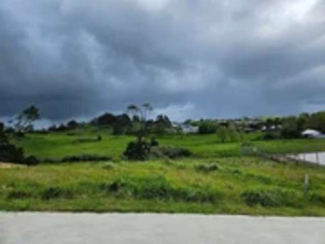 24 Mahi Road Helensville_4