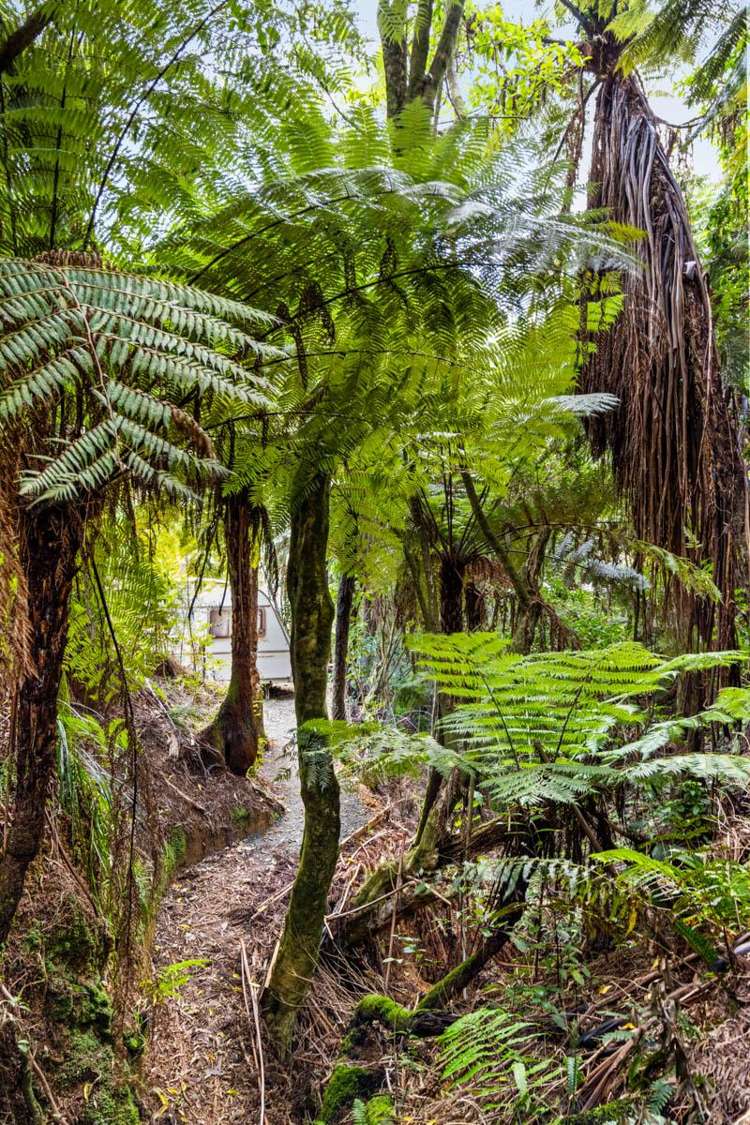 1694a Queen Charlotte Drive Linkwater_12