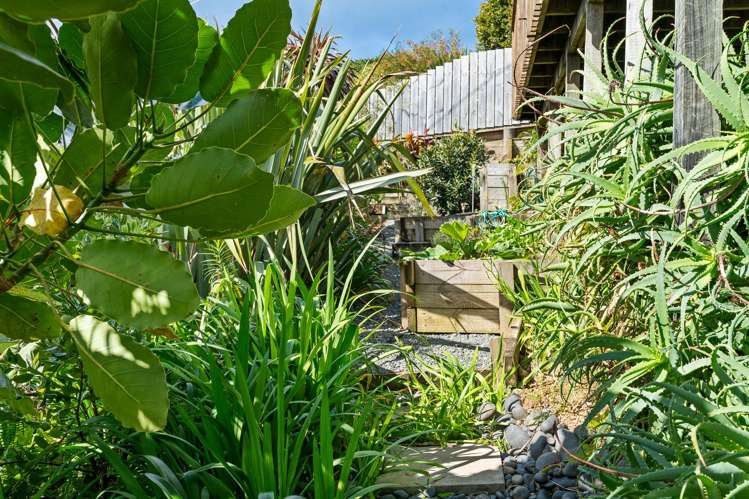 53 Tutukaka Block Road Tutukaka_15