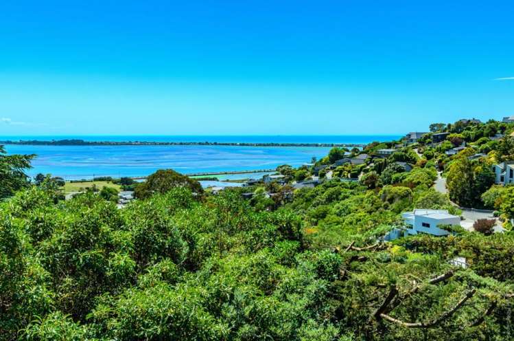 107 Mt Pleasant Road Mount Pleasant_16