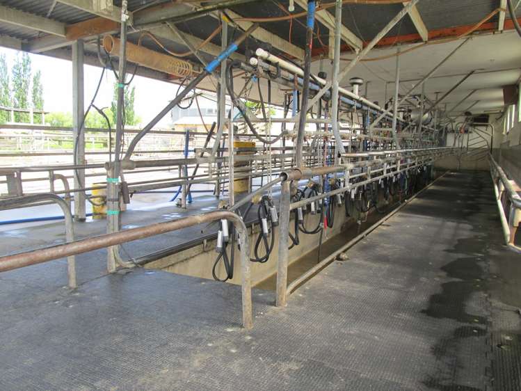 183 Waghorn Road Wardville_10