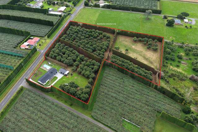 244 Beach Road Katikati_2