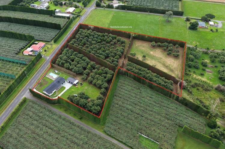 244 Beach Road Katikati_2