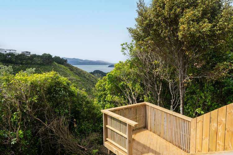 5 Plumer Street Johnsonville_27