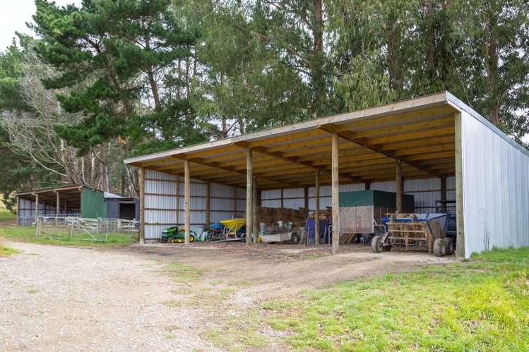 3160 Masterton Castlepoint Road Mangapakeha_4