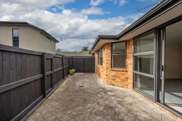 43B Campbell Street Frankton_12