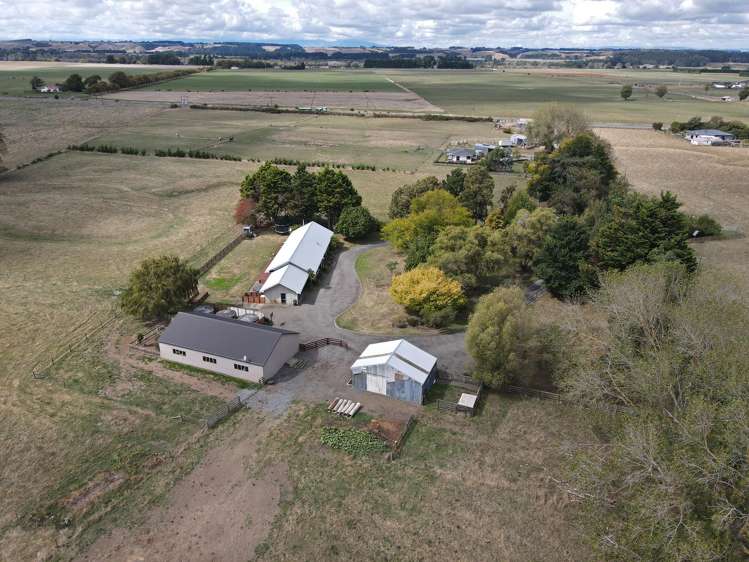 455b State Highway 1 Bulls_34