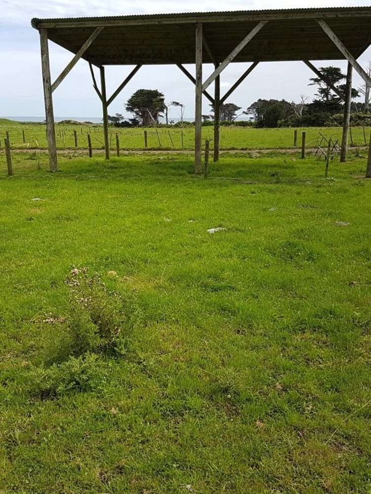 153 Tipoka Road Rahotu_17