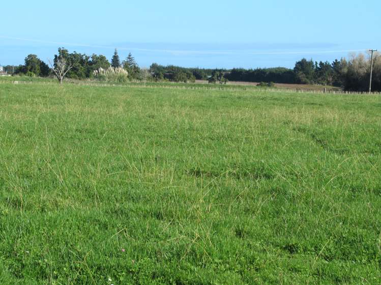 69 Avenue North Road Levin_11