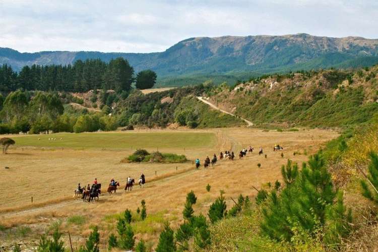 408 Mcvicar Road Te Haroto_9