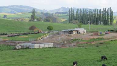 356 Whatauri Road_2