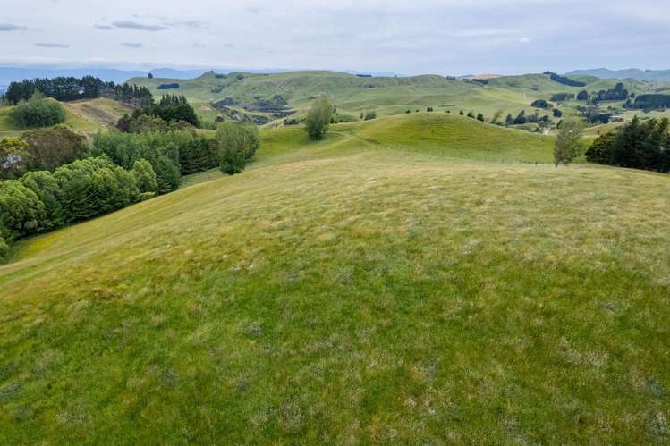 196 Ngapaeruru Road Dannevirke_12