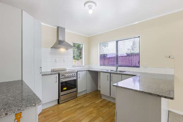 329a Mount Albert Road Wesley_3