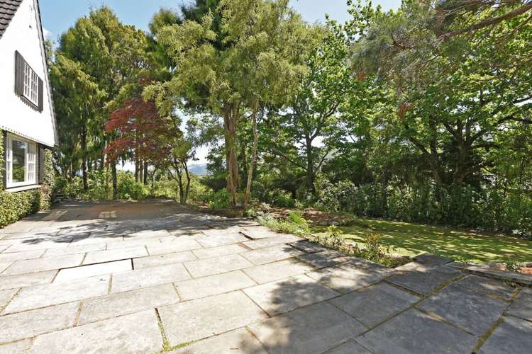 1266 Fergusson Drive Brown Owl_29