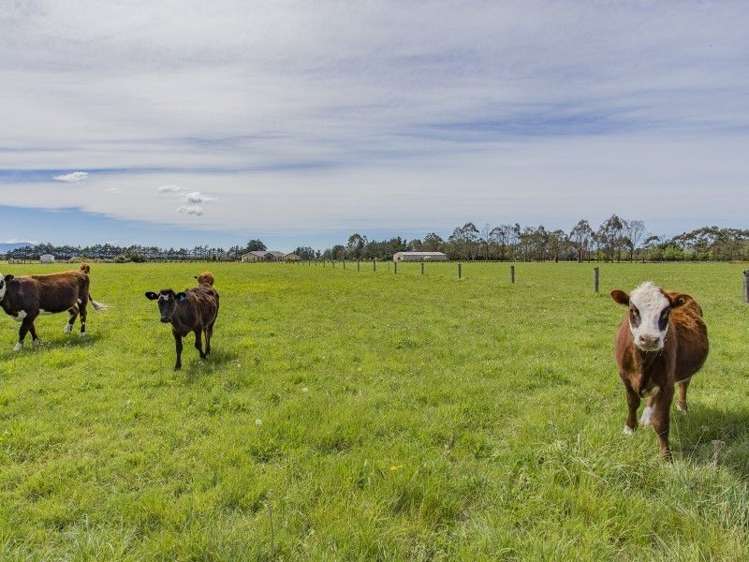 40 Clear View Lane Swannanoa_24