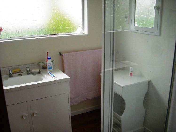 25 Sedcole Street Pahiatua_9