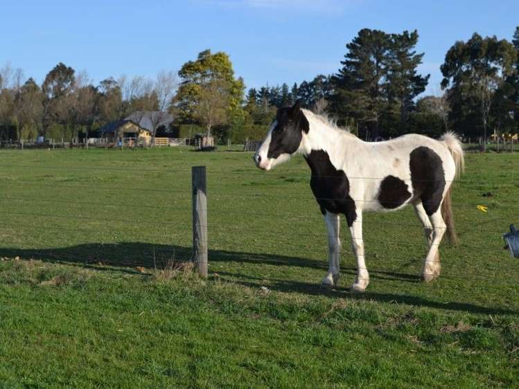 304 Springston Rolleston Road Rolleston_11