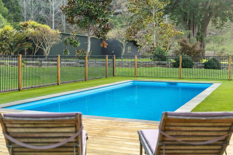 101 Emerald Hill Drive Birchville_18