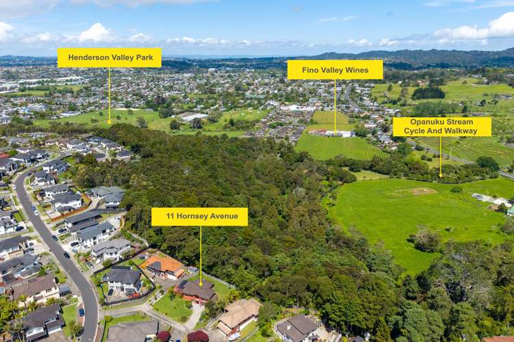 11 Hornsey Avenue Henderson_15