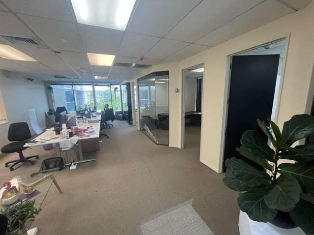 9B Douglas Alexander Parade Rosedale_4