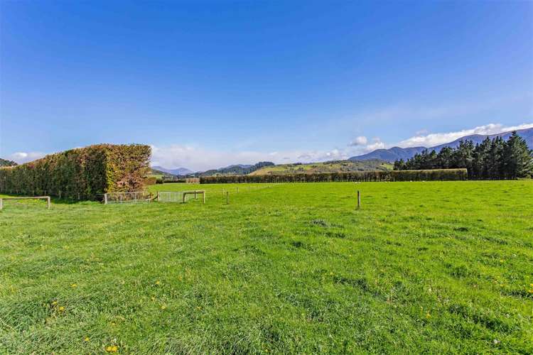 432 Island Road Oxford_12