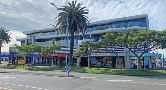 314 Maunganui Road Mt Maunganui_1