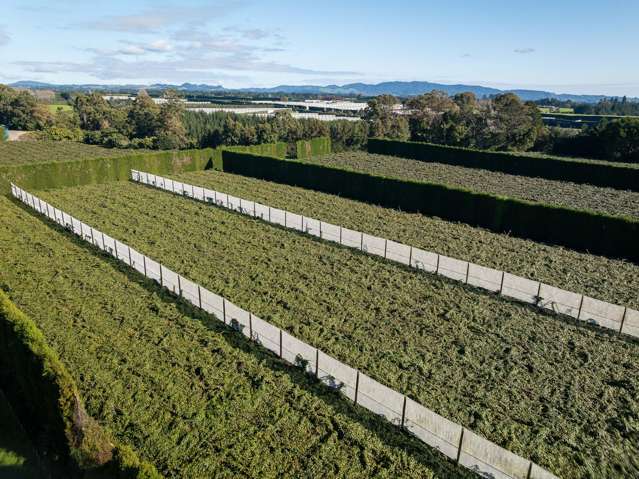 Unique opportunity | 50% share |Kiwifruit $$
