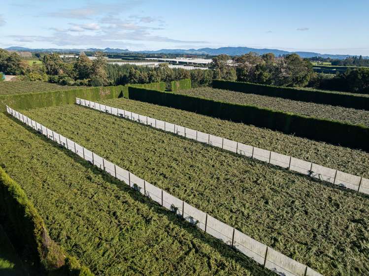 172 Maungarangi Road_0