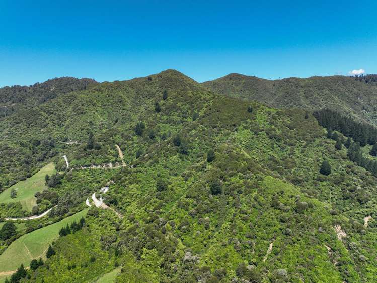 180 Totaranui Road Wainui Bay_11