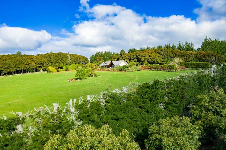 232 Simons Road Poroti_10