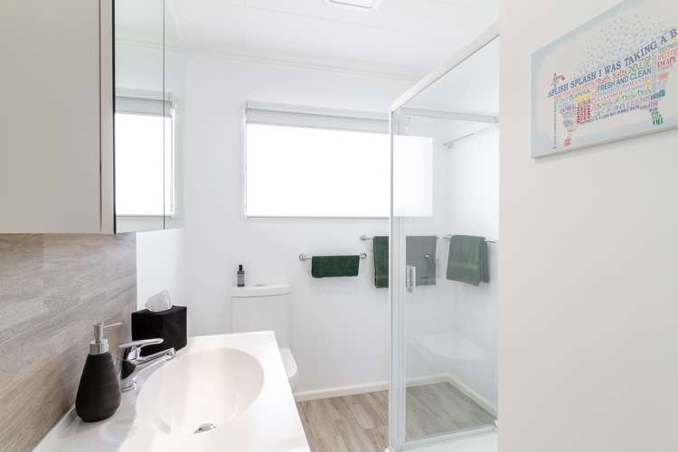 47 Bristol Street Tamatea_10