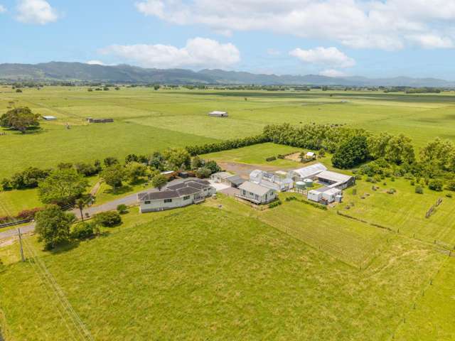 MULTIPLE OPTIONS, MASSIVE OPPORTUNITIES