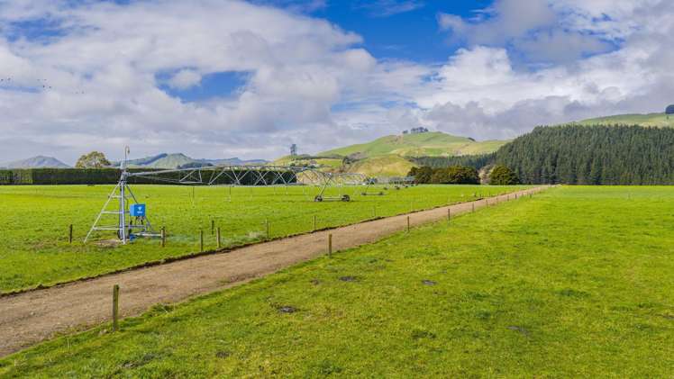 236 Tower Street Ormondville_27