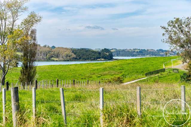 35 Minnie Casey Rise Matakohe_4