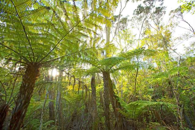 12 Chenery Road Red Beach_1