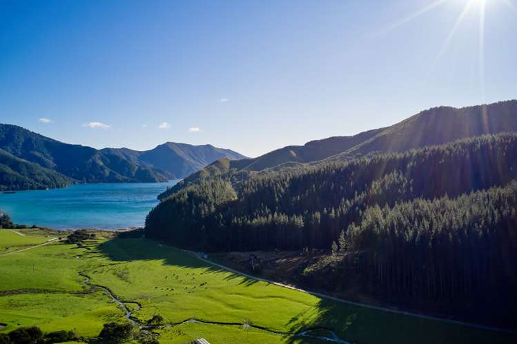 Crail Bay Kenepuru Sound_18