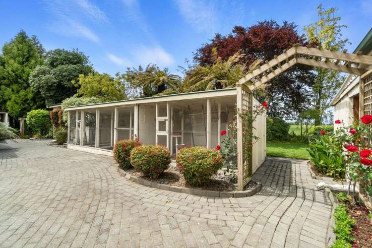 152 Piako Road Gordonton_23