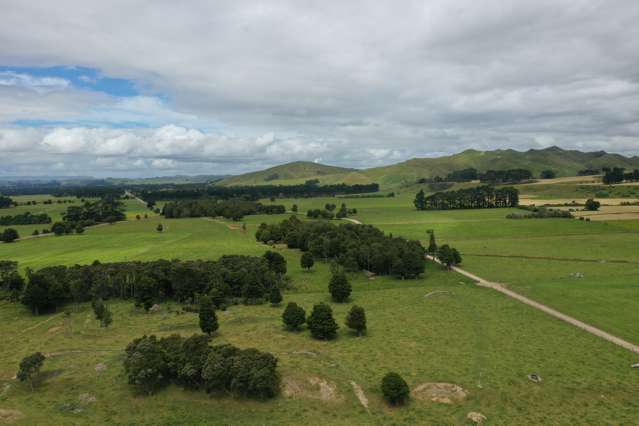 172 Kakariki West Road Eketahuna_4