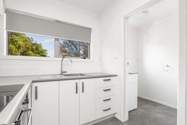 16 O'Neill Street Claudelands_6