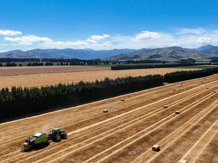 588 Freshford Plains Station Road Wendonside_14