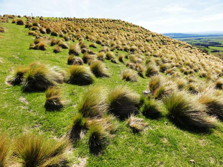 231 Powers Road Hawarden_10