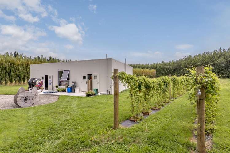 479 Marshs Road Halswell_24