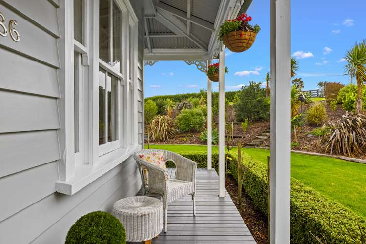 286 Austin Road Dairy Flat_3