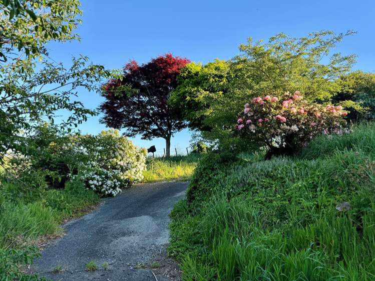 74B Willoughby Road Katikati_25