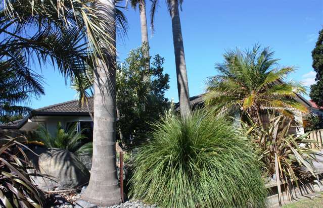 25 Calypso Drive Papamoa_2