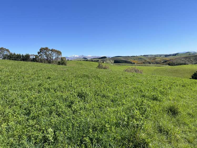 148 Tapui Homestead Road Five Forks and Surrounds_16