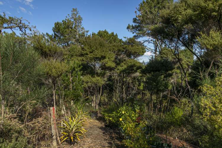 7 Trig Station Rise Paremoremo_4