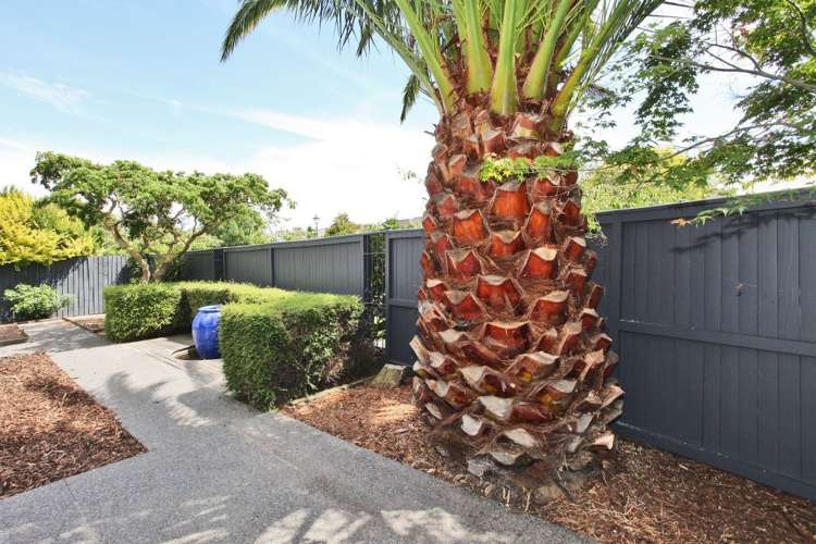 53 Fairway Drive Shirley_10