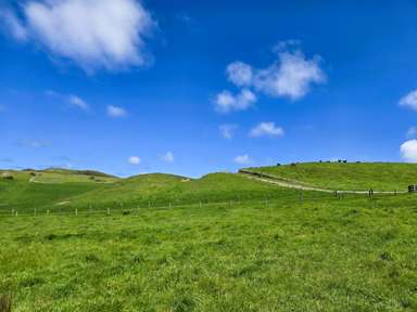 1090 Te Maire Road_3