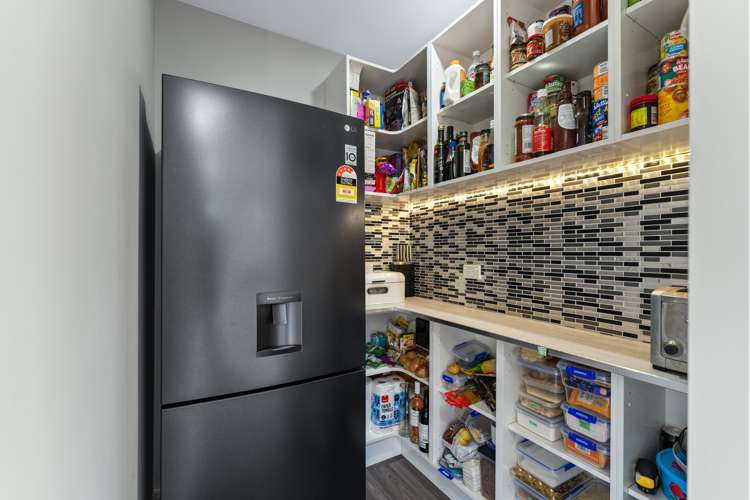 35 Burgess Street Green Island_9